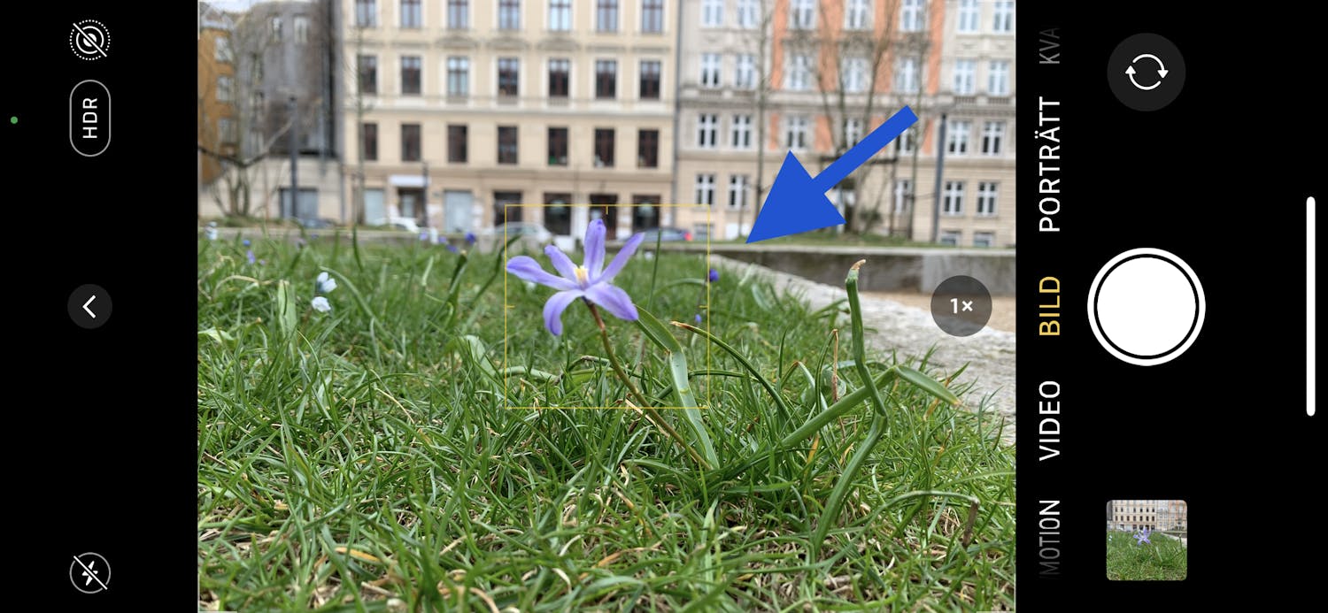 Fyrkant vid fokus Iphone-skärm med blomma i fokus